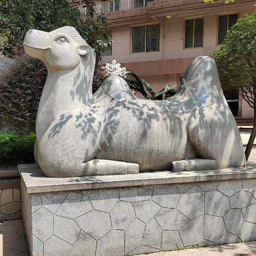 【石雕骆驼 白麻石骆驼雕塑 石头骆驼小区雕塑】 - 中国供应